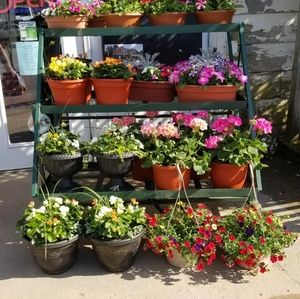 Meet your Posher, Toni